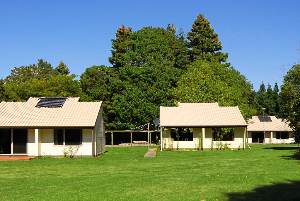 Mount Richmond Estate Motels Rai Valley Kültér fotó